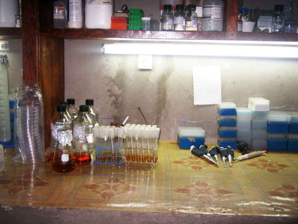 In the laboratory